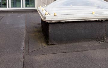 disadvantages of Frith Bank flat roofs