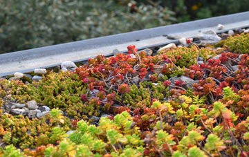 the cost of Frith Bank green roof installation