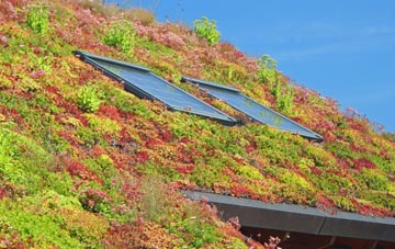 Frith Bank living roof systems